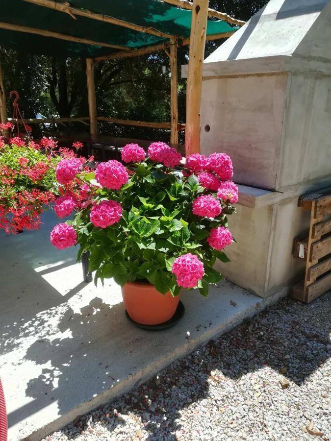 Apartmán Stela Pinezići Exteriér fotografie