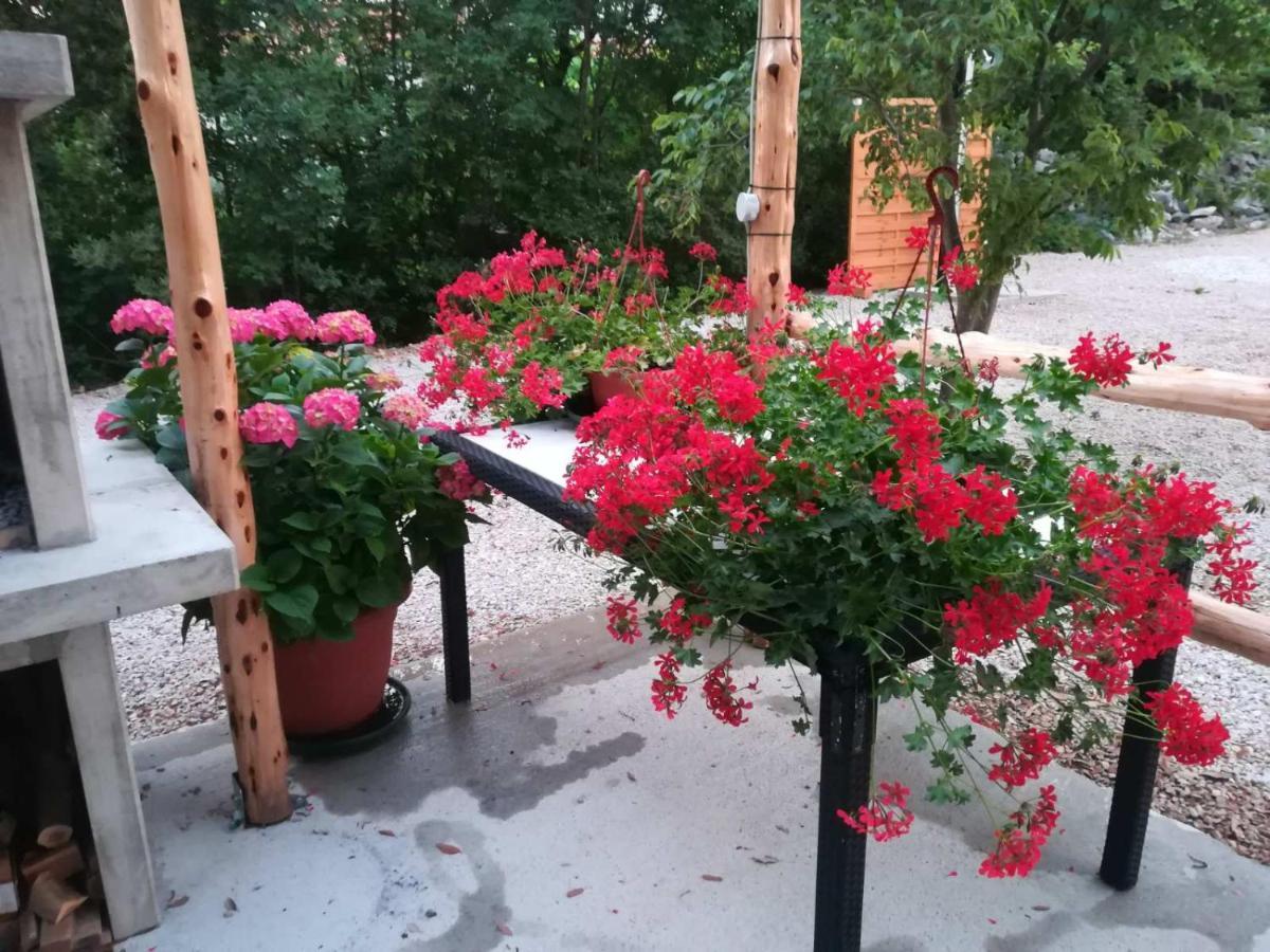Apartmán Stela Pinezići Exteriér fotografie
